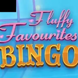 Fluffy Favourites Bingo