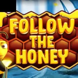 Follow The Honey