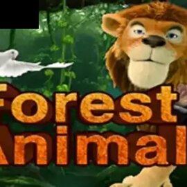 Forest Animal