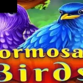 Formosan Birds