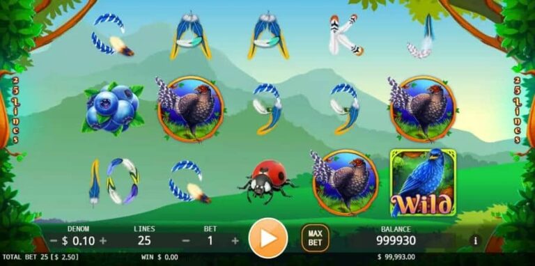 Formosan Birds