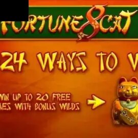 Fortuna 8 Cat