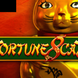 Fortune 8 Cat