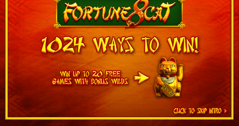 Fortune 8 Cat