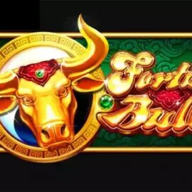 Fortune Bull