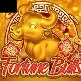 Fortune Bulls