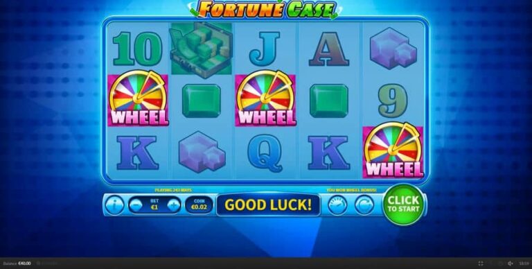 Fortune Case