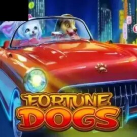 Fortune Dogs