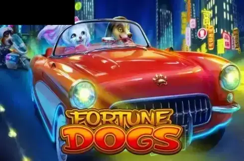 Fortune Dogs