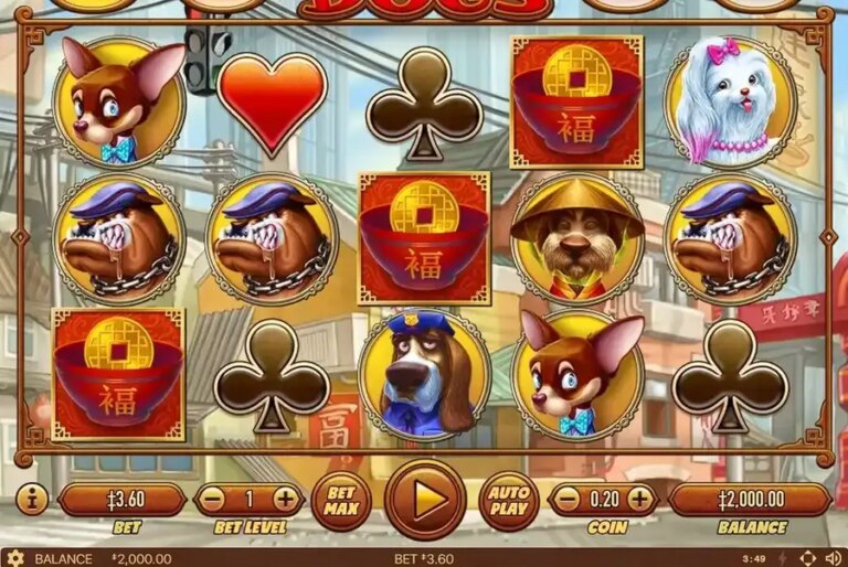 Fortune Dogs