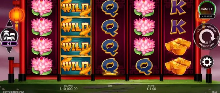 Fortune Free Spins