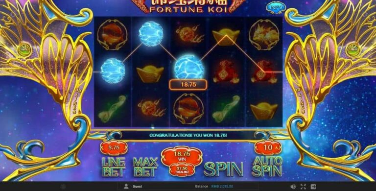 Fortune Koi