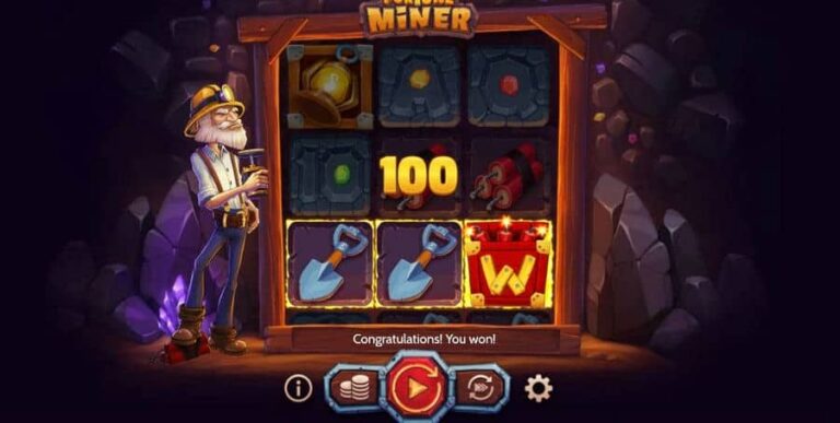 Fortune Miner