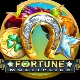 Fortune Multiplier (Booongo)
