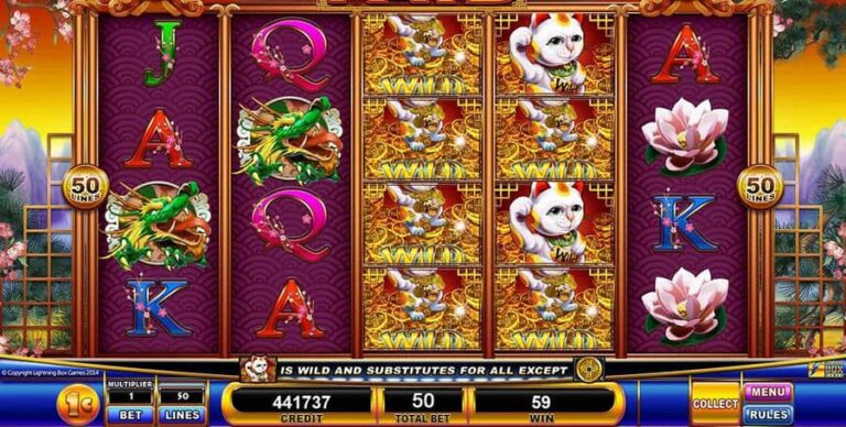 Fortune Pays