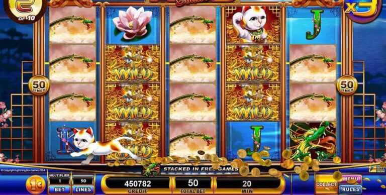Fortune Pays