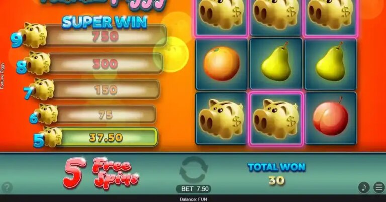 Fortune Piggy