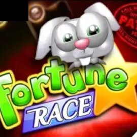 Fortune Race Deluxe