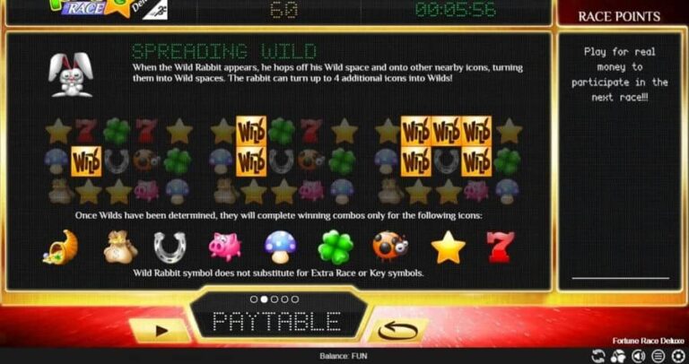 Fortune Race Deluxe