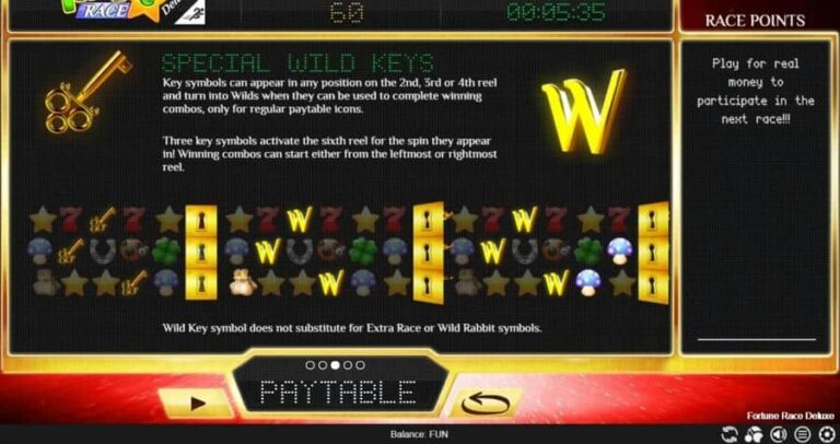 Fortune Race Deluxe