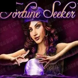 Fortune Seeker