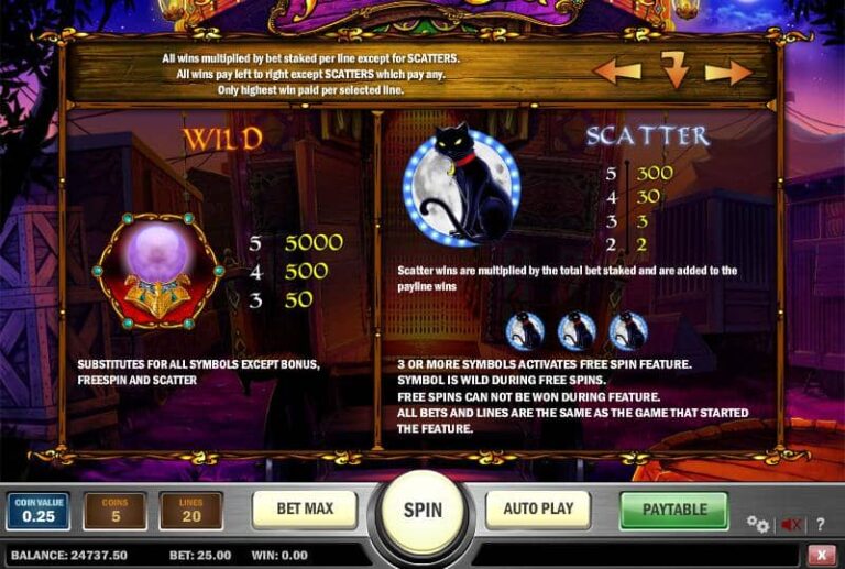 Fortune Teller (Play’n Go)