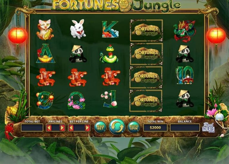 Fortunes of the Jungle