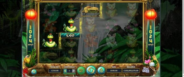 Fortunes of the Jungle