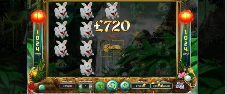 Fortunes of the Jungle