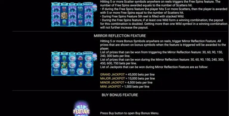 Frozen Mirror