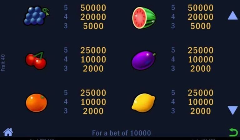 Fruit 40