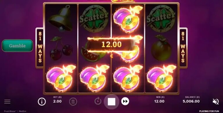 Fruit Blaze