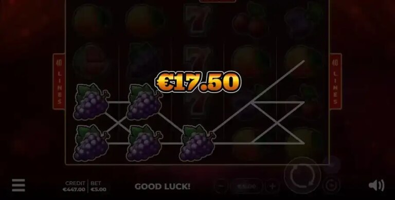 Fruits XL