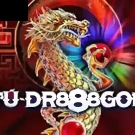 Fu Dr888gon