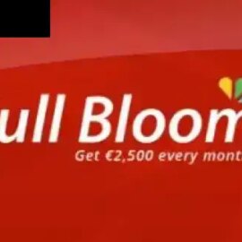 Full Bloom