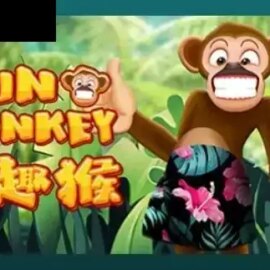 Fun Monkey