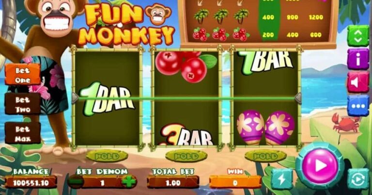 Fun Monkey