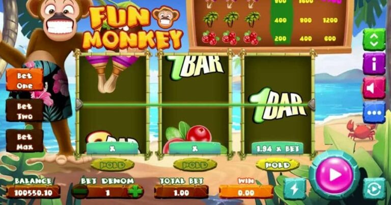 Fun Monkey