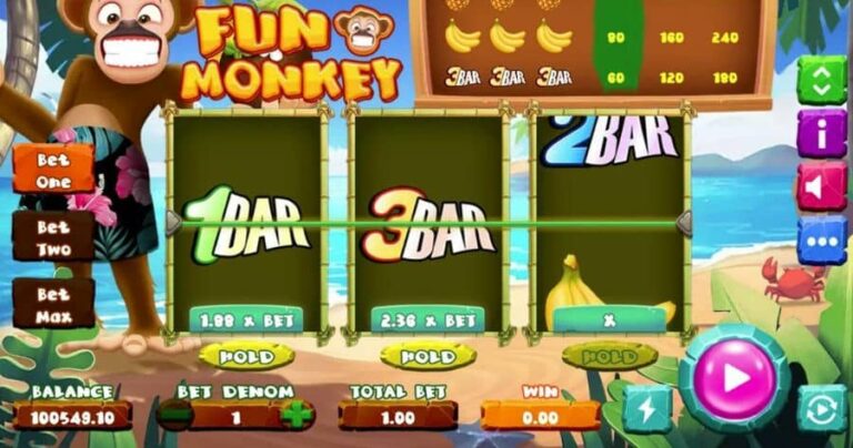 Fun Monkey