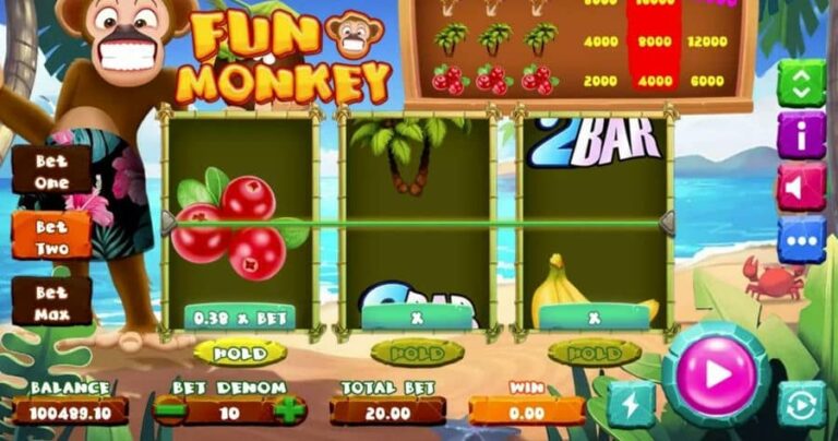 Fun Monkey