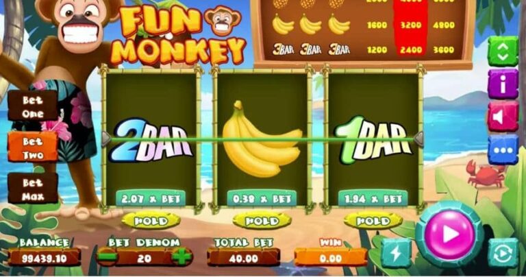 Fun Monkey