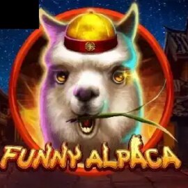 Funny Alpaca