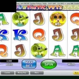 Funtastic Pets
