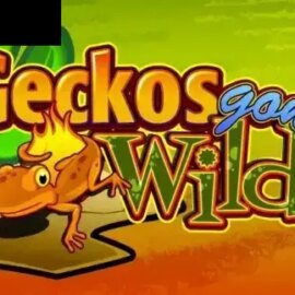 Geckos Gone Wild