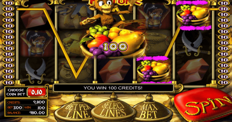 Genie’s Fortune