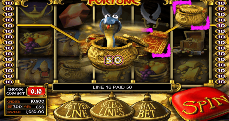 Genie’s Fortune
