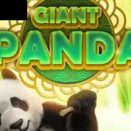Giant Panda