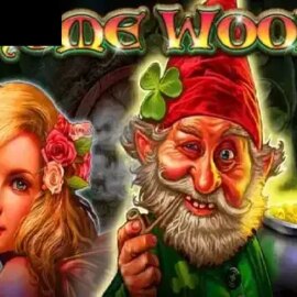 Gnome Woods