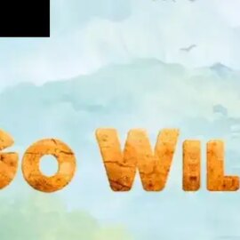 Go Wild HD
