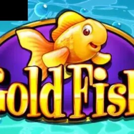 Gold Fish (WMS)